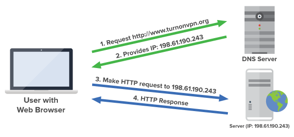 domain name system