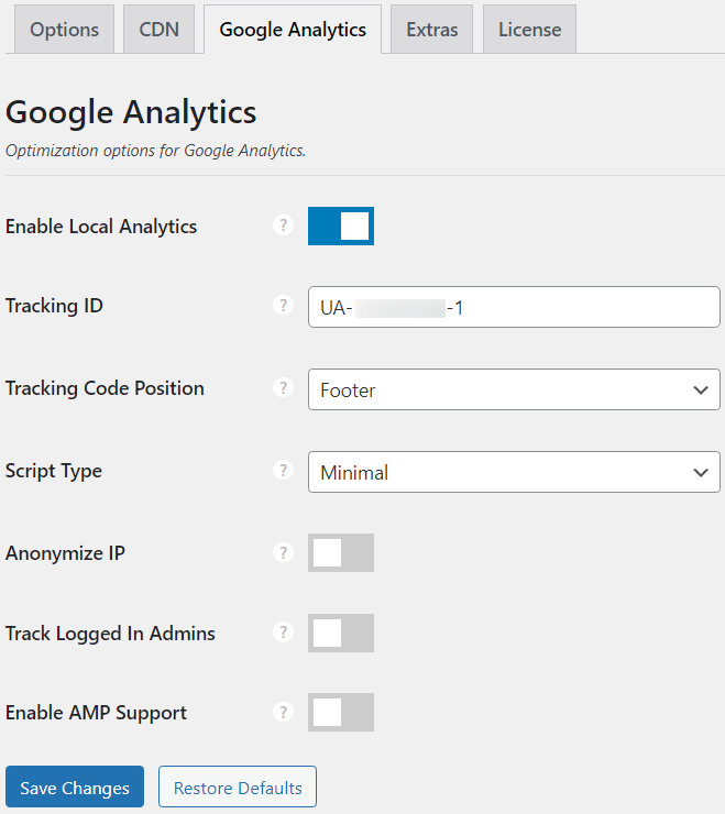 perfmatters GA Setting