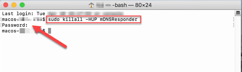 how-dns-works-flush-macos2