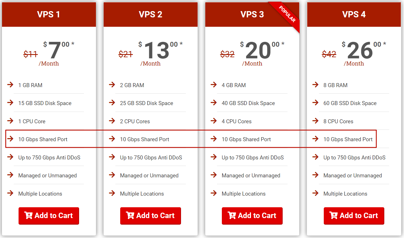 javapipe 10gbps VPS